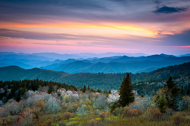 Blue Ridge Parkway Blue Hour Spring Blooms Landscape Print