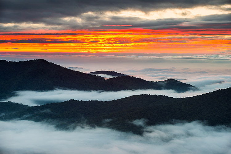 Pisgah Sunrise Blue Ridge Parkway Asheville NC Photography Print