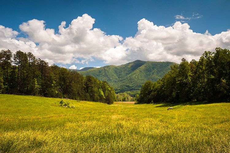 Cades Cove Great Smoky Mountains Landscape Prints