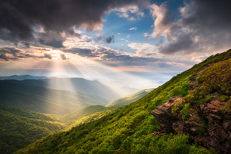 Craggy Gardens Blue Ridge Parkway Spring Flowers Landscape Print